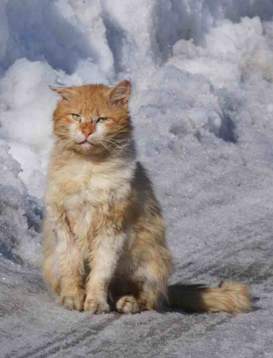 Владимир Ильин