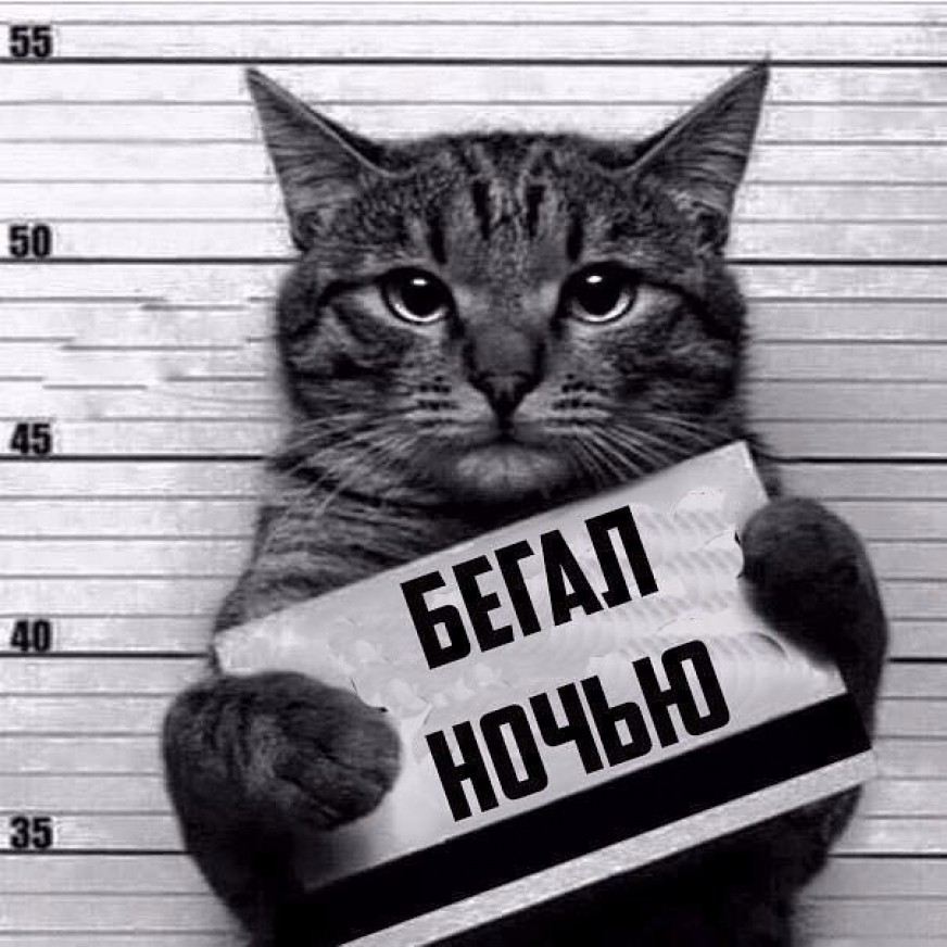 Бармалейкин