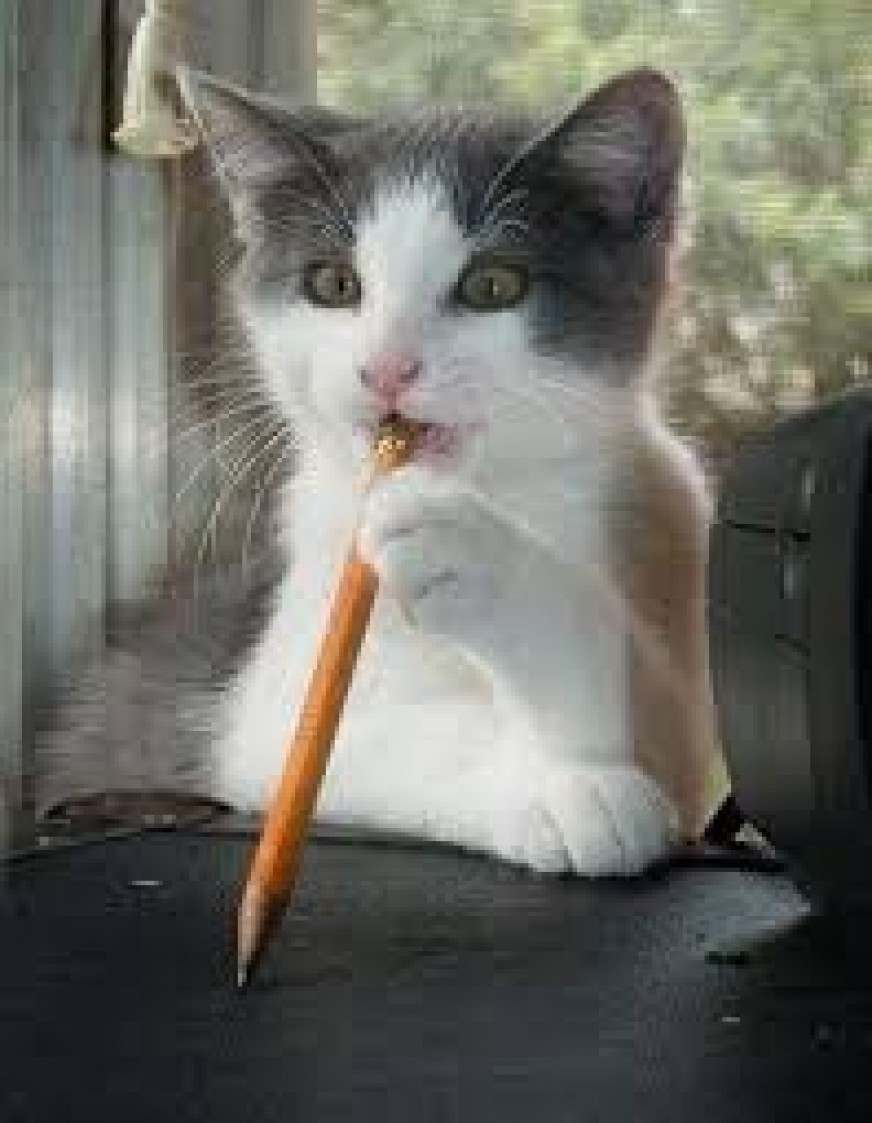 Алексей Морозов