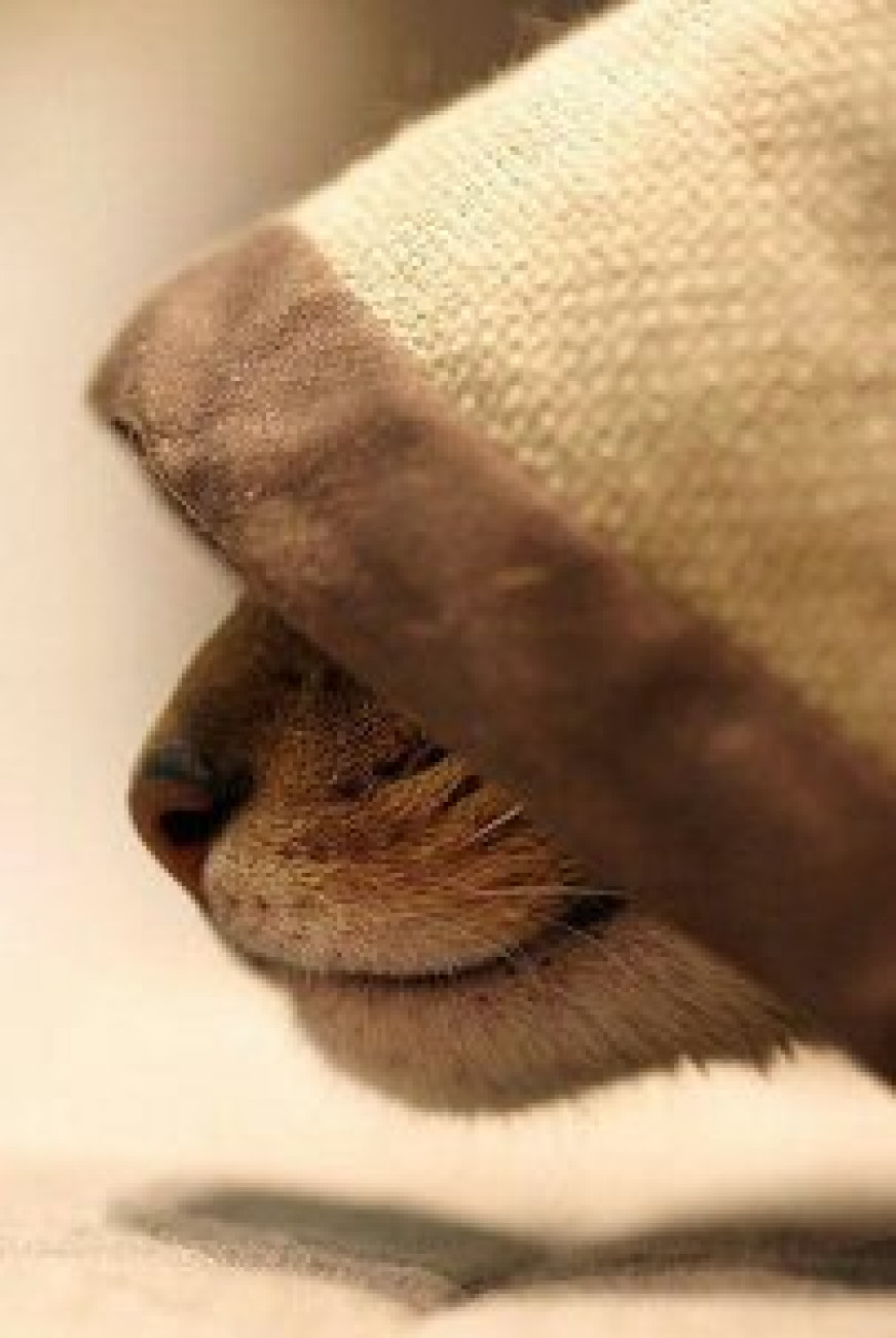 Оксана Куприянова