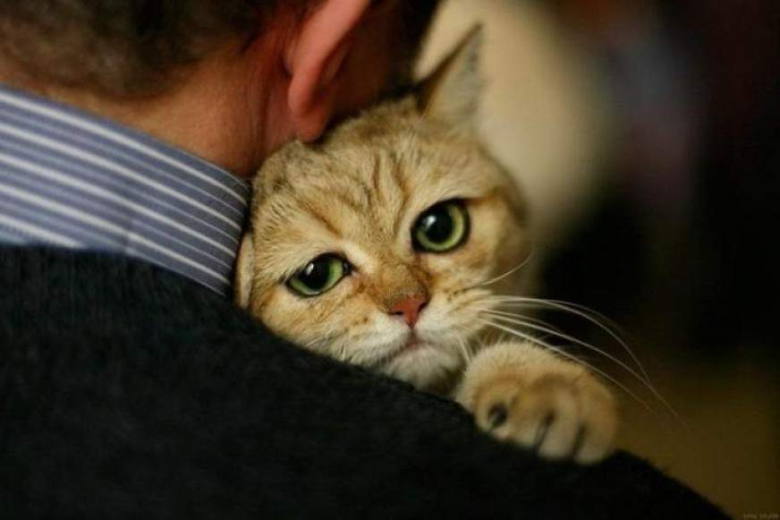 Алексей Клёнов