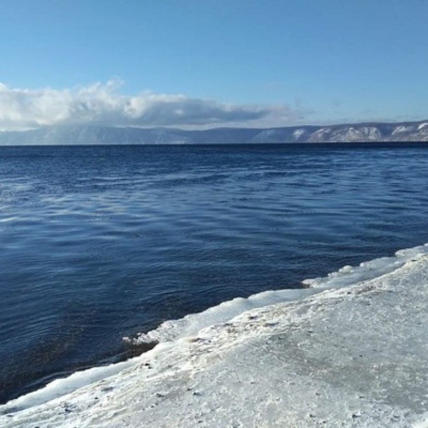 Александр Шведцов