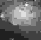 Артем Бестер