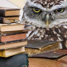 Андрей Радов