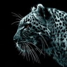 Андрей Макаров