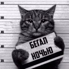 Бармалейкин