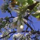 Надежда Грушинина