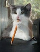 Алексей Морозов