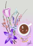 Аня Клеймор